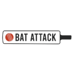 bat-attack