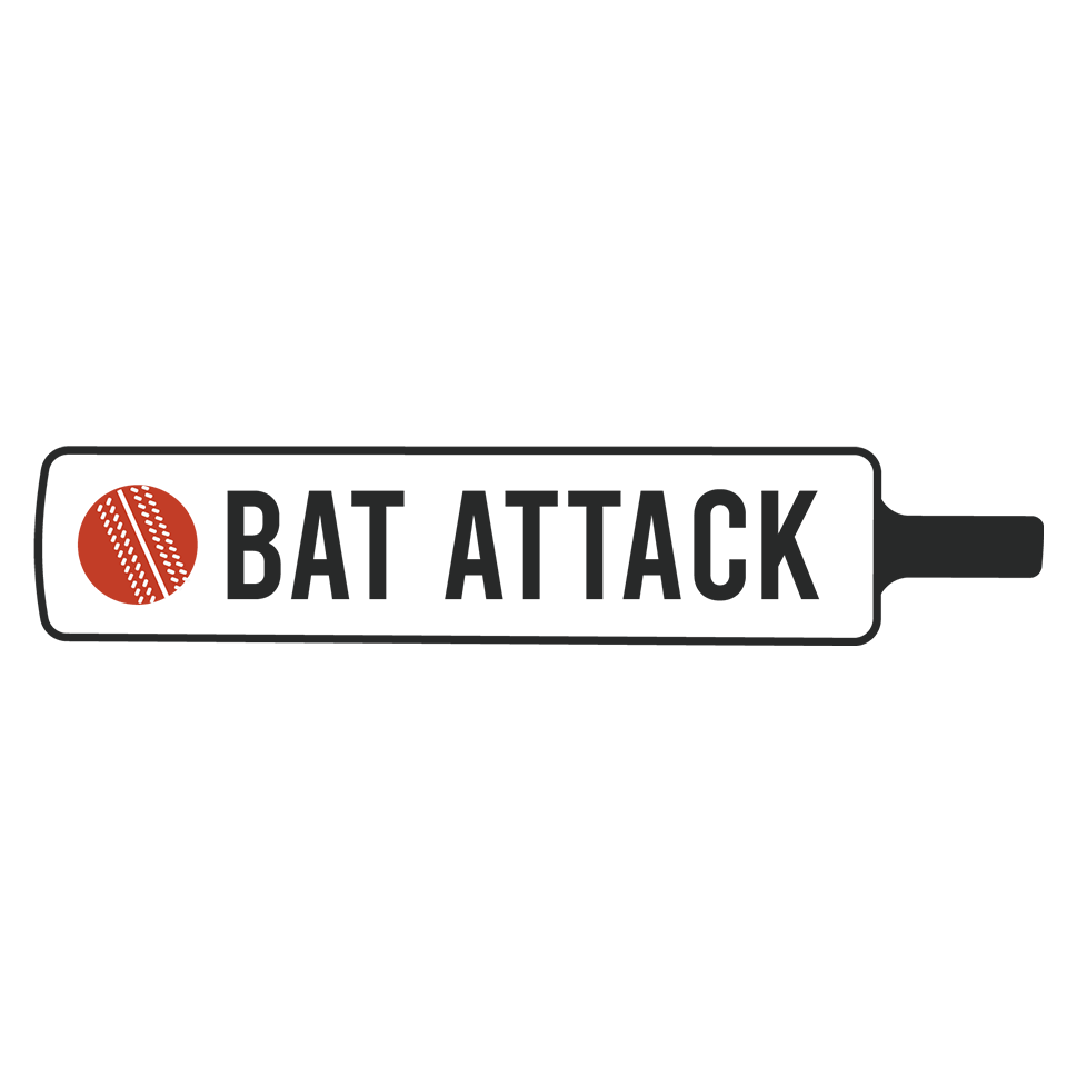 Bat Attack