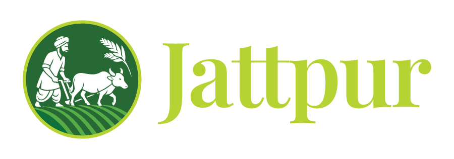 Jattpur Portfolio Logo