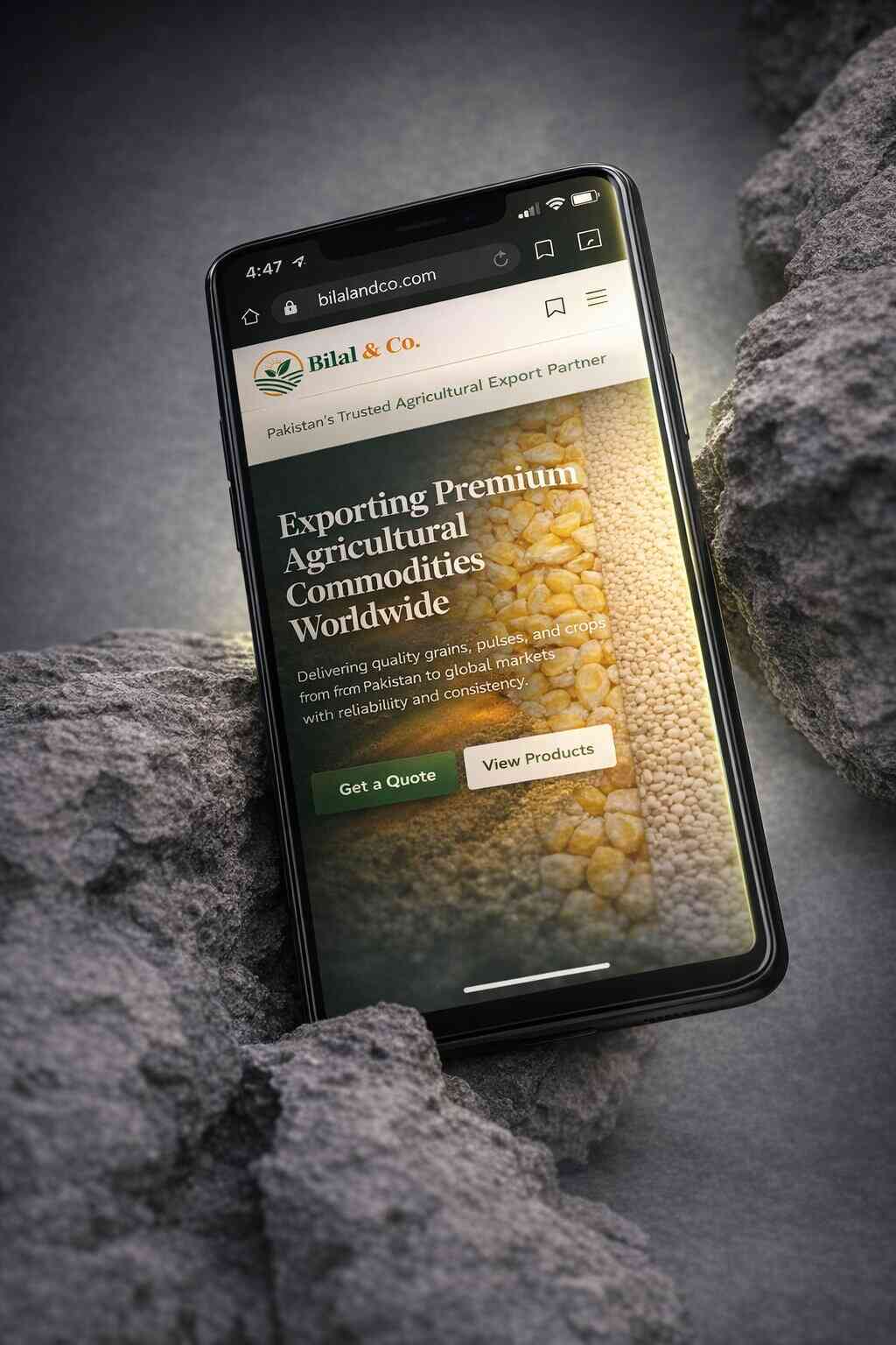 Bco. Mockup 007 draft 1